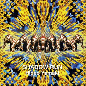 Shadow Run
