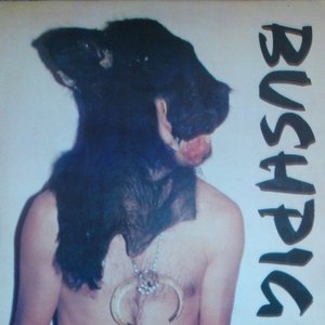 Bushpig 的头像