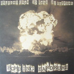 DJ Paul & The Stunned Guys ft. MC Ruffian 的头像