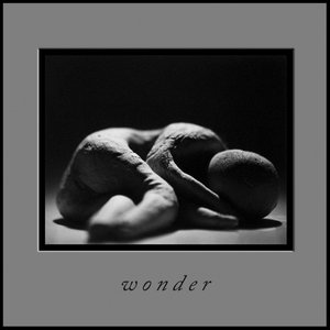 Wonder