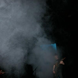 Sturgeon photo provided by Last.fm