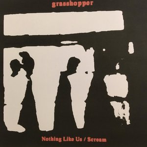 Nothing Like Us / Scream