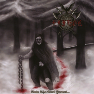 Into the Dark Forest cover