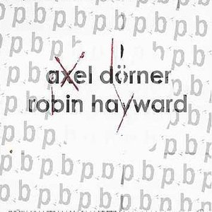Axel Dörner & Robin Hayward 的头像