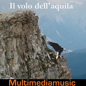 Il volo dell'aquila