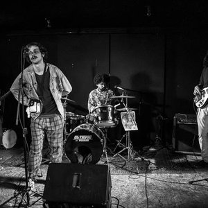 Avatar for Jubarte Elevador