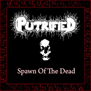 Spawn of The Dead