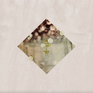 RESIN