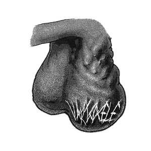 Varicocele 的头像