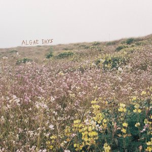 Algae Days