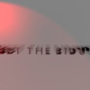 Meet The Bidule