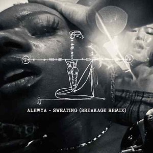 Sweating (Breakage Remix) - Single