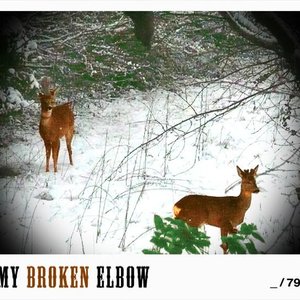 Avatar for My broken elbow