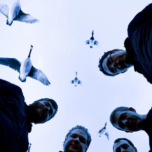 Collections of Colonies of Bees photo provided by Last.fm