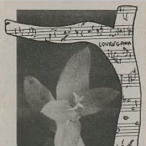 Lovregana - Music From A Tasmanian Forest / Soundscapes From Wilderness