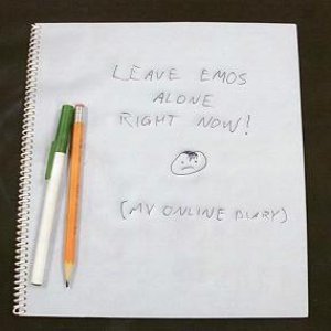 Leave Emos Alone Right NOW! (My Online Diary)