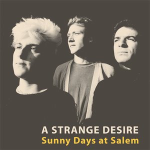 Sunny Days At Salem