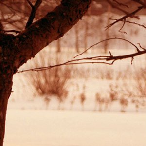 Five Elements Music 的头像