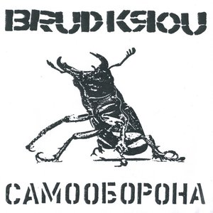 Samooborona