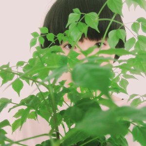 Neko Meows 的头像