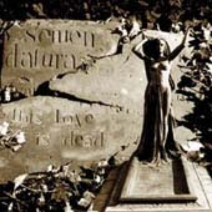 Barry Manillow - This Love Is Dead - Zortam Music