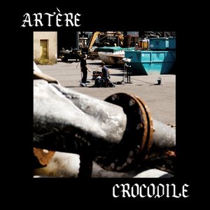 Artère Crocodile