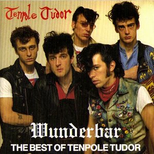 Wunderbar - The Best Of Tenpole Tudor