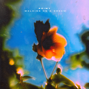 Artwork for Walking On A Dream