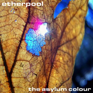 The Asylum Colour