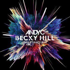 Indestructible - Single