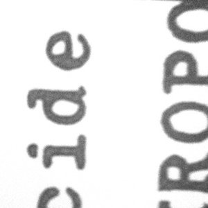 Alcide Nekropo 的头像