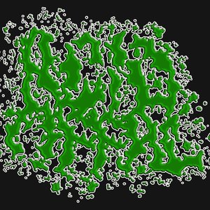 Avatar di Acid Offal