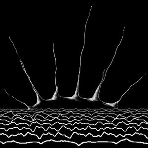 Molecular-scale observation of the sunrise floating on sound waves - EP
