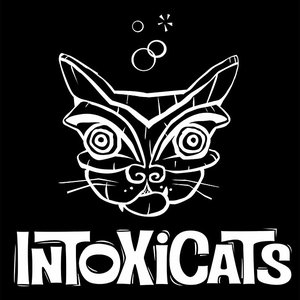 The Intoxicats 的头像