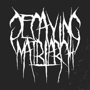 Decaying Matriarch 的头像