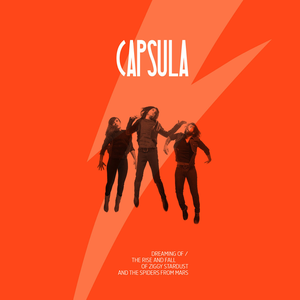 David Bowie - Dreaming Of The Rise And Fall Of Ziggy Stardust And The Spiders From Mars - Zortam Music