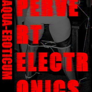 Pervert Electronics
