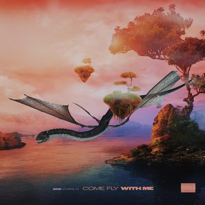 COME FLY WITH ME