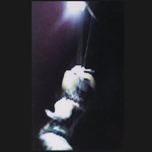 Avatar for Co-Habitant