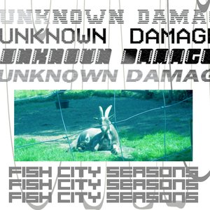 Fish City Seasons