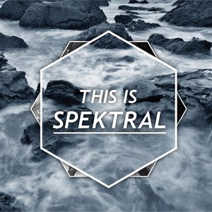 Avatar for Spektral