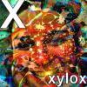 Xylox 的头像