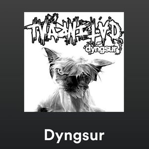 Dyngsur