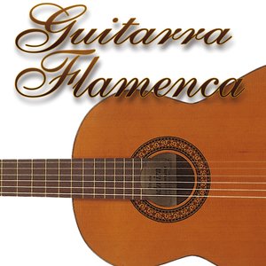 Guitarra flamenca Vol.2