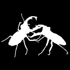 Bugfight 的头像