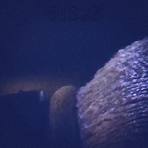 Lush Melodies 的头像