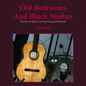 Old Bedrooms And Black Snakes