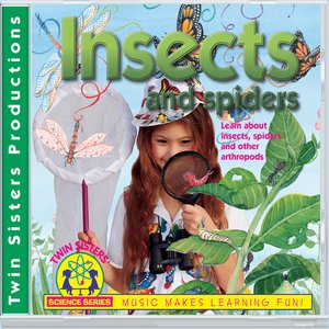 Insects And Spiders