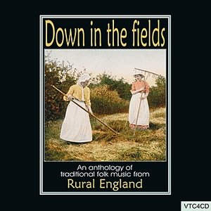Down In The Fields