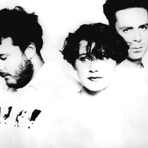 Avatar for Cocteau Twins